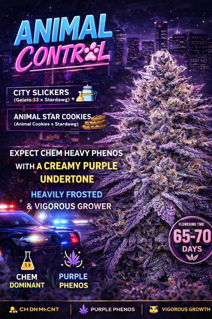 Animal Control