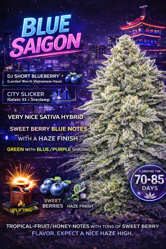Blue Saigon