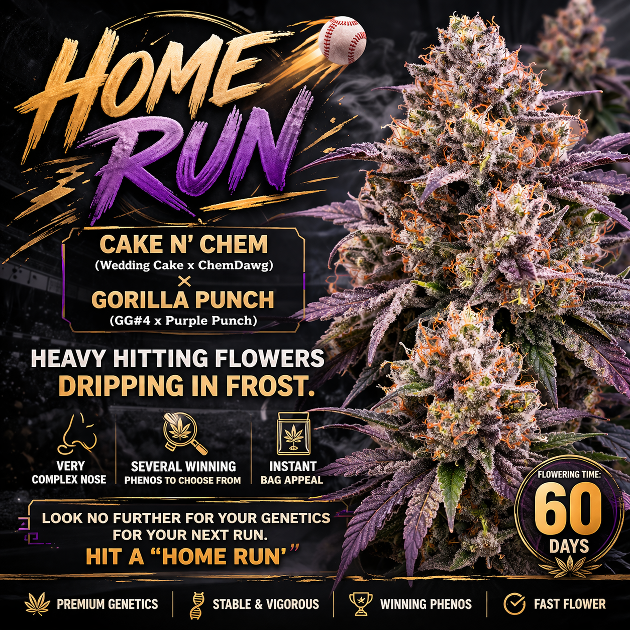 Home Run