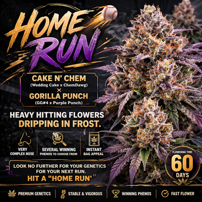 Home Run