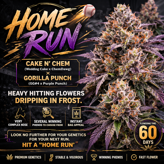 Home Run