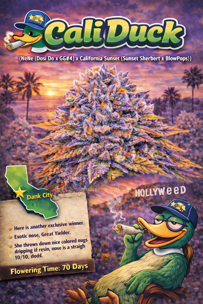 Cali Duck