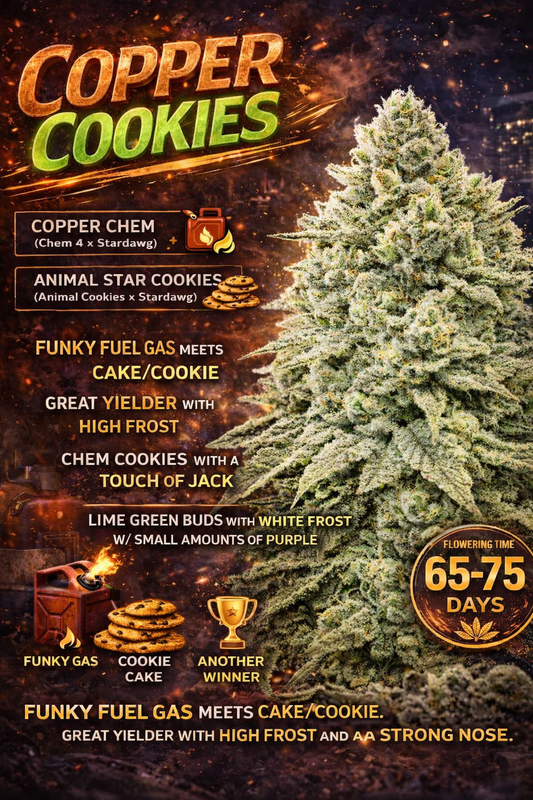 Copper Cookies