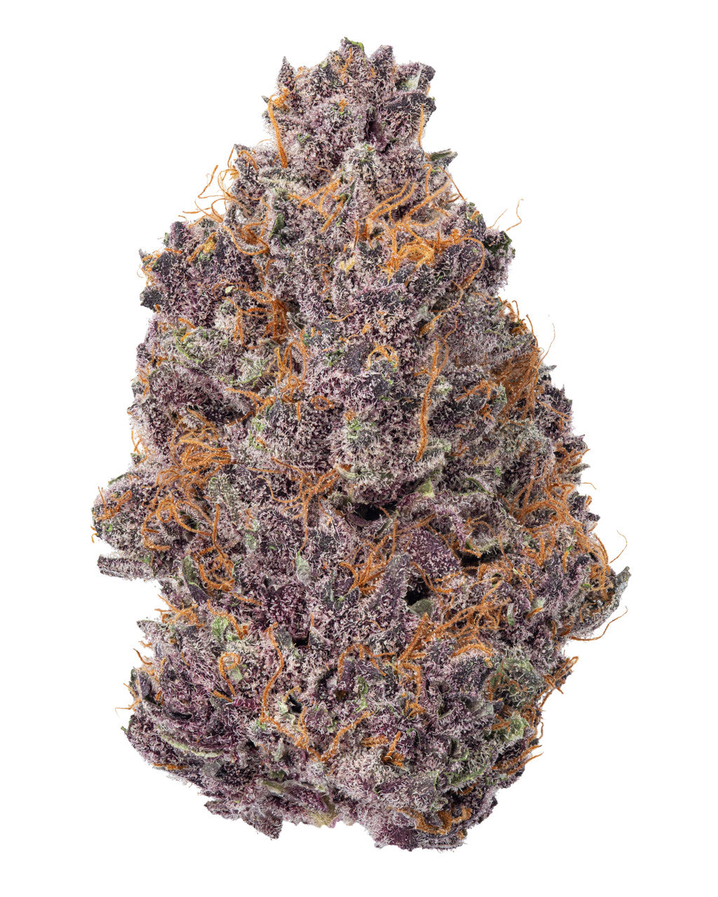 Sick Jack