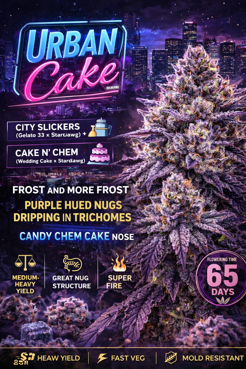 Urban Cake