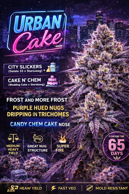 Urban Cake