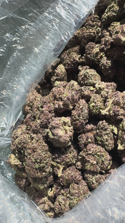 Slick Island Cookies A.K.A SIC
